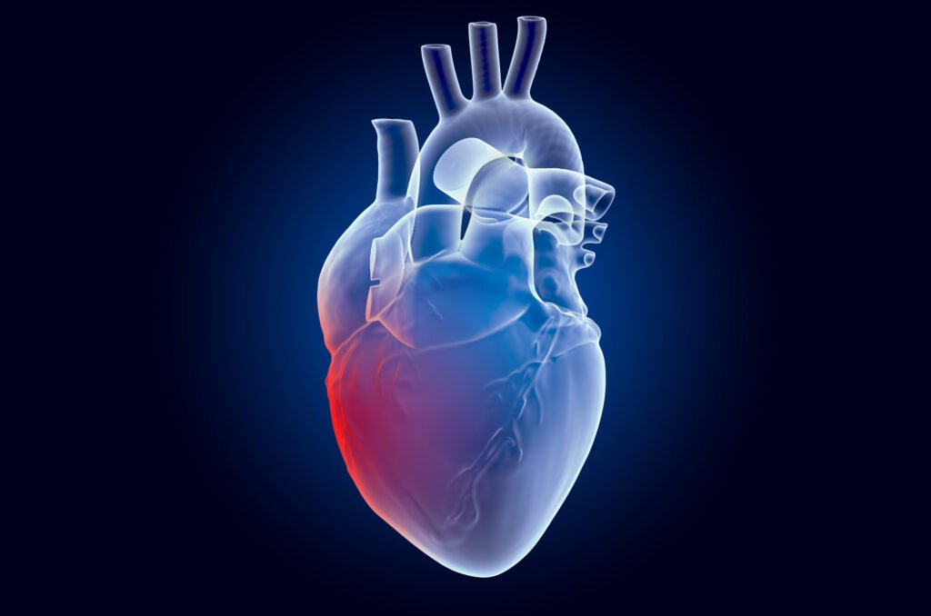 Alimenti che favoriscono la salute del cuore – Dr. Medical Clinic & Lab
