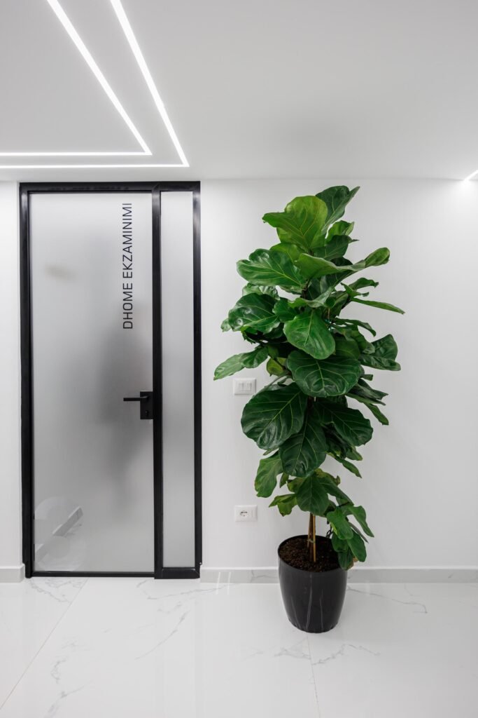 The facilities of Dr. Medical Clinic & Lab in Tirana