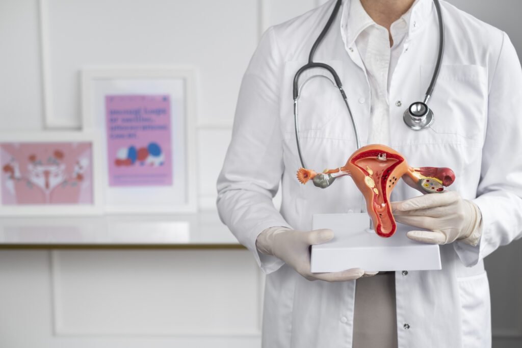 La ginecologa con un modello dell'utero, per il Pap test e l'ecografia ginecologica
